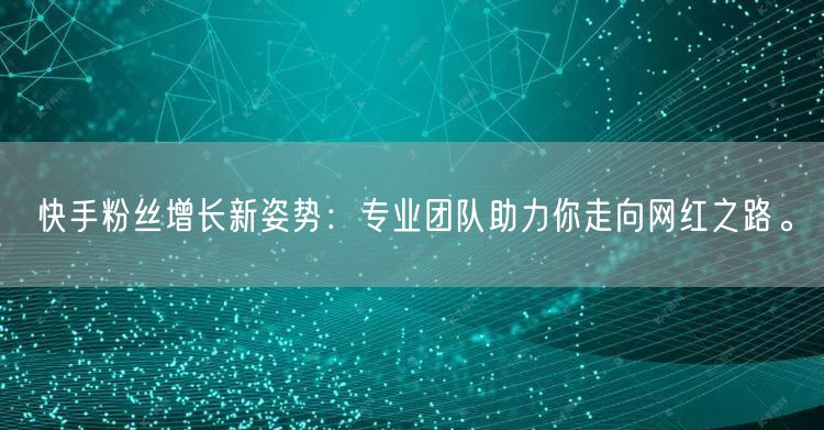 快手粉丝增长新姿势:专业团队助力你走向网红之路。