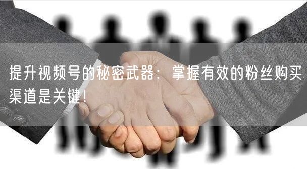 提升视频号的秘密武器:掌握有效的粉丝购买渠道是关键!