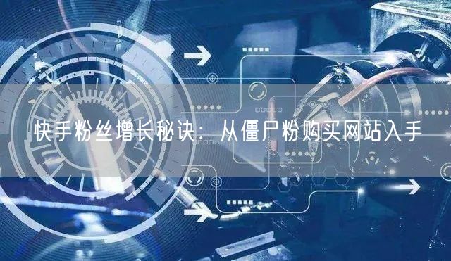 快手粉丝增长秘诀:从僵尸粉购买网站入手
