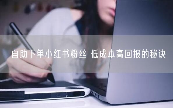 自助下单小红书粉丝 低成本高回报的秘诀