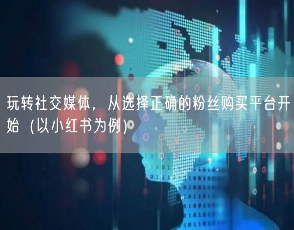 玩转社交媒体，从选择正确的粉丝购买平台开始（以小红书为例）