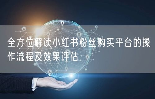 全方位解读小红书粉丝购买平台的操作流程及效果评估
