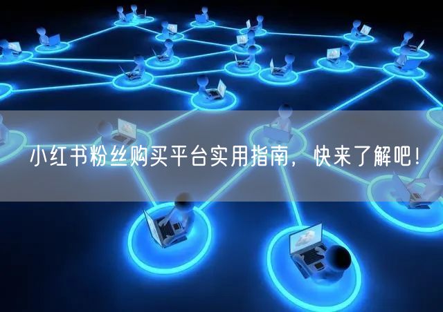 小红书粉丝购买平台实用指南，快来了解吧！