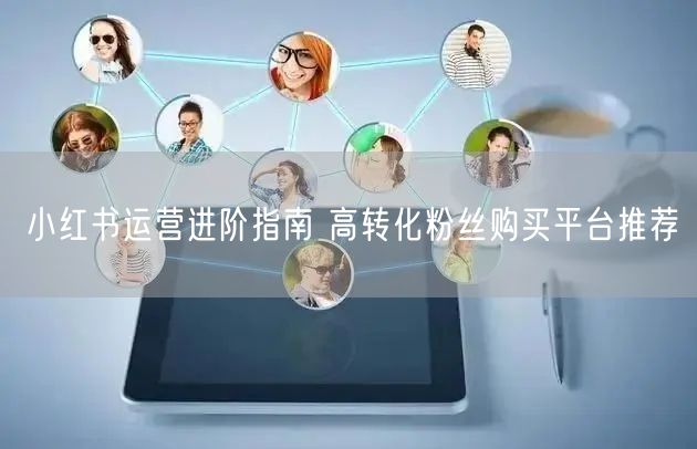 小红书运营进阶指南 高转化粉丝购买平台推荐